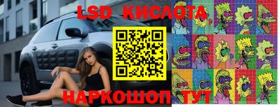 СК Абинск