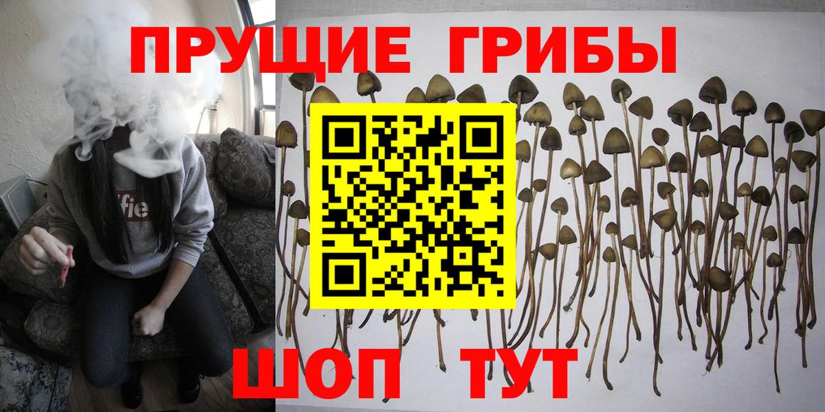 Галлюциногенные грибы мухоморы  Вход с VPN  Ангарск 